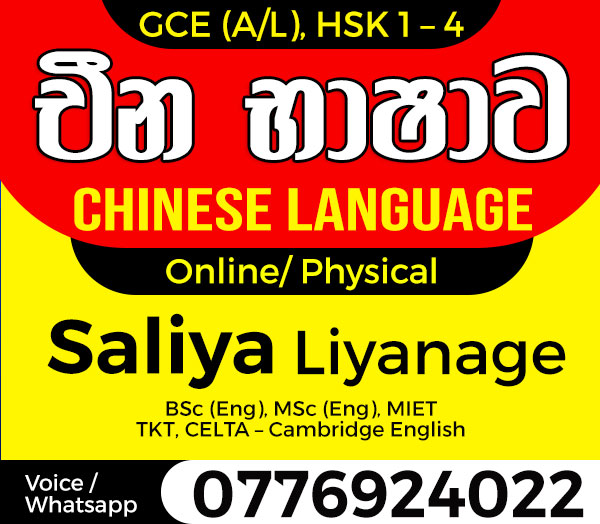 Receive an A grade for Chinese (A/L) from an experienced teacher. Online and group classes