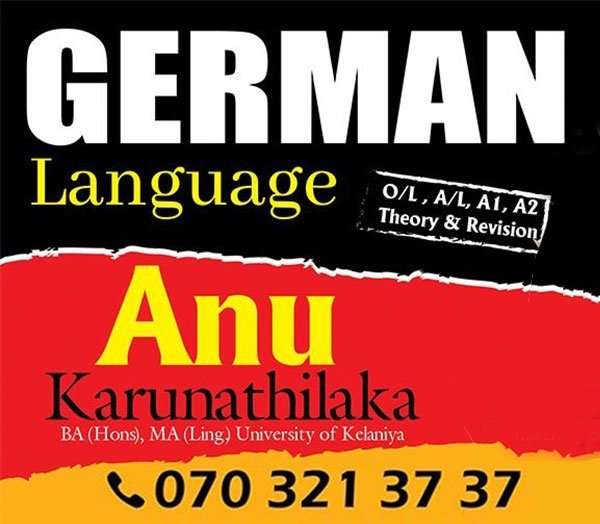 German Language | Experienced Government Teacher | B2 level | Goethe Institute Freiburg, Germany , A/L