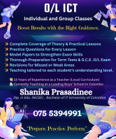 OL ICT - individual classes