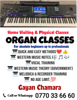 Organ(Keyboard ) Music Class