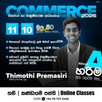 Business & Accounting Studies Tuition – Build Your Academic Success