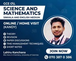 Grade 6 to 11 Maths and Science classes